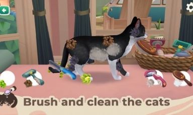 猫咪救援故事(Cat Rescue Story) 1