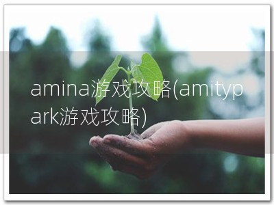 amina游戏攻略(amitypark游戏攻略)