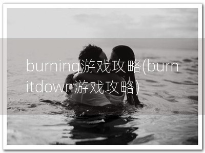 burning游戏攻略(burnitdown游戏攻略)
