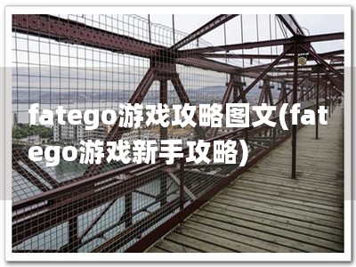 fatego游戏攻略图文(fatego游戏新手攻略)