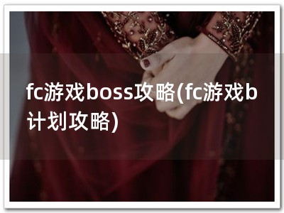 fc游戏boss攻略(fc游戏b计划攻略)