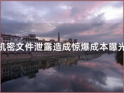 机密文件泄露造成惊爆成本曝光