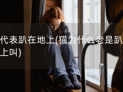 课代表趴在地�?猫为什么老是趴在地上�?